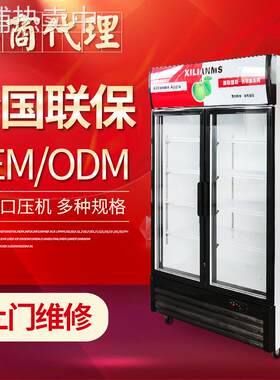 西联姆斯饮料展示柜 双开门立式冷藏柜 OEM定制商用饮品保鲜柜