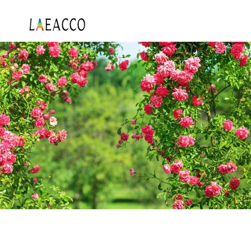 laeacco photography backdrop spring blossom flowers green v