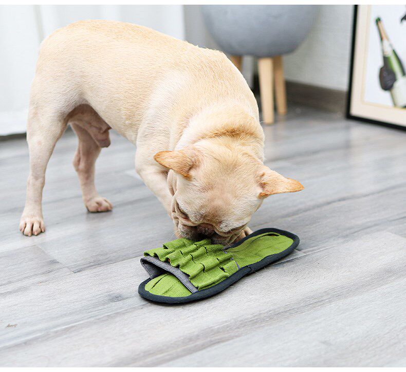 dog chew toys teeth cleaning molar slipper design pet toys