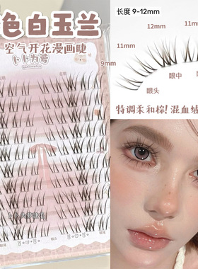 混血绒绒温柔感~棕色白玉兰假睫毛自然韩系浓密款漫画湿尖亚裔感