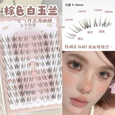 混血绒绒温柔感~棕色白玉兰假睫毛自然韩系浓密款漫画湿尖亚裔感