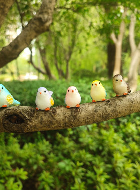 迷你可爱小鸟微景观多肉盆景