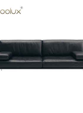 Sfoolux意式轻奢极简创意个性家用皮艺沙发 DS-60双人位沙发