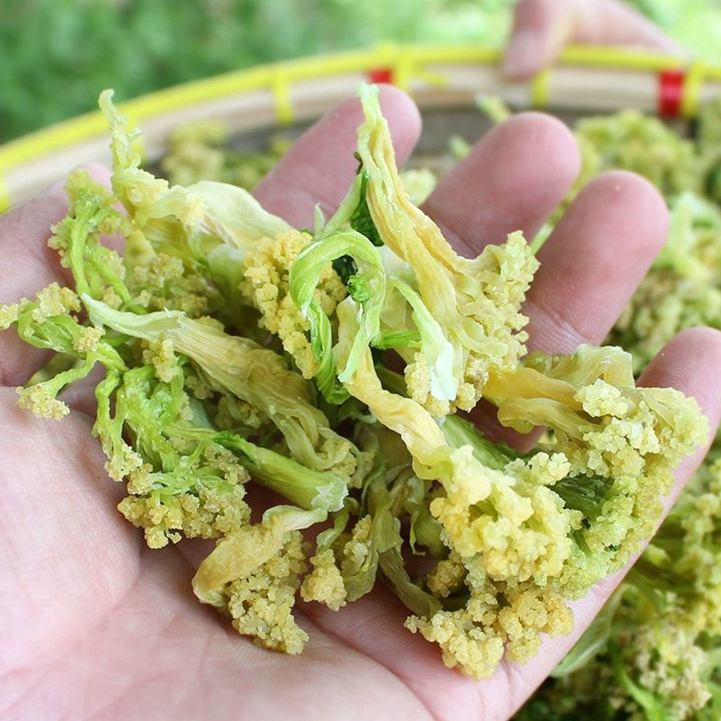 火锅食材干货干菜小众配菜小众素菜花菜贡菜莴苣黑木耳黄瓜干条