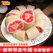 10斤带皮牛尾巴新鲜整根带皮牛尾骨条山区散养黄牛尾带肉牛尾商用