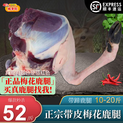 15斤鹿腿活杀整只带皮梅花鹿腿