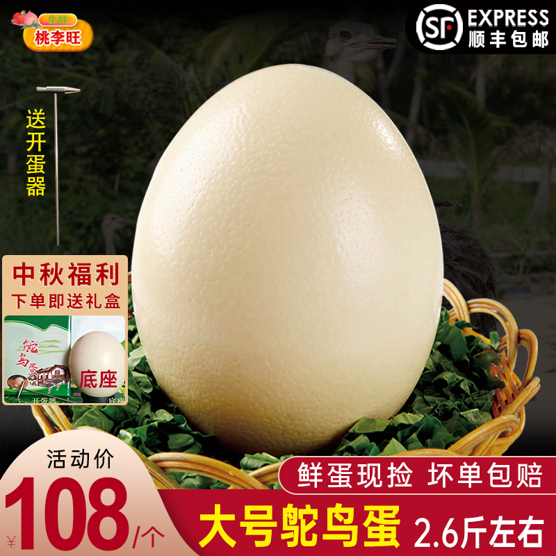 新鲜现捡鸵鸟蛋桃李旺