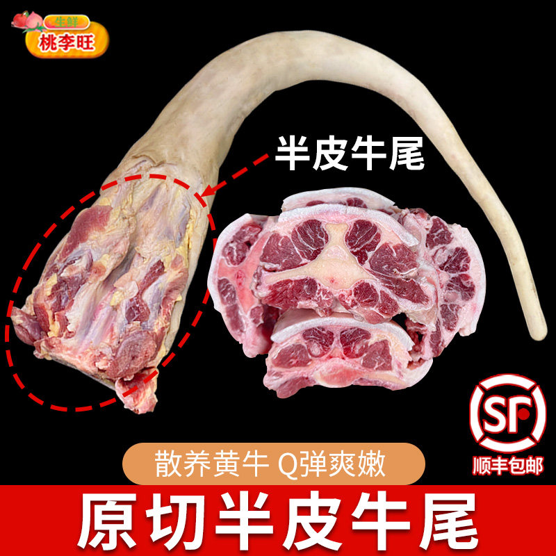 切块带皮牛尾巴 新鲜商用牛尾黄牛肉宝宝煲汤新鲜商用牛尾肉生鲜