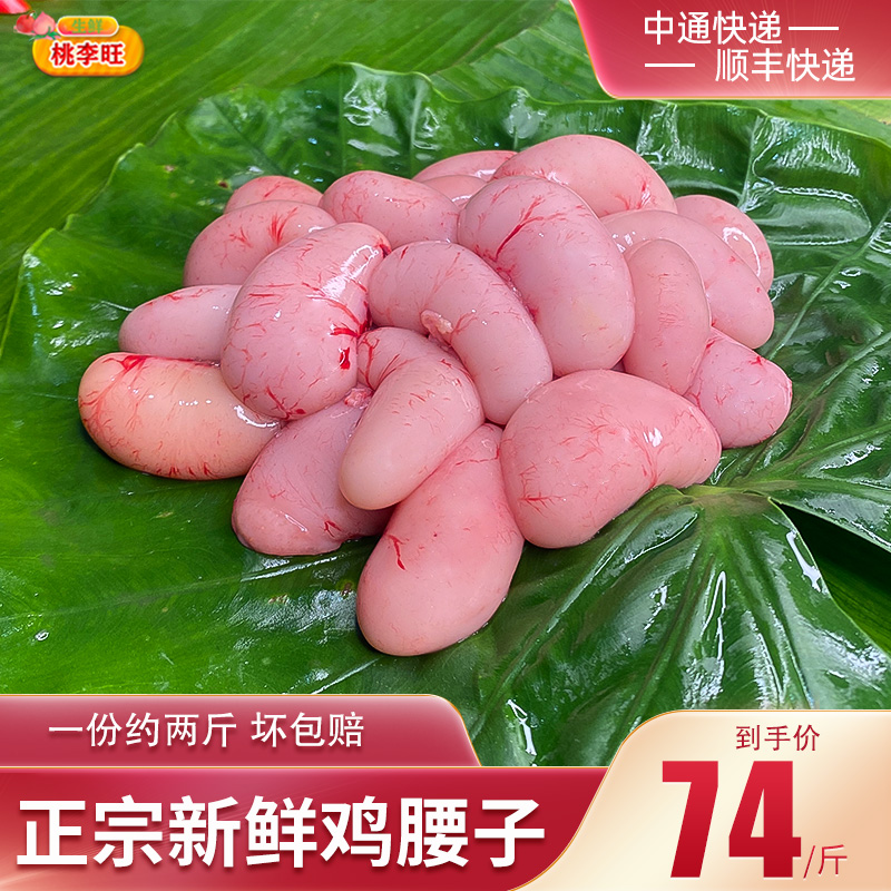桃李旺新鲜鸡腰子营养滋补