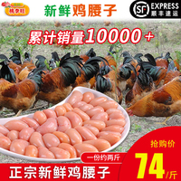 10斤新鮮現(xiàn)摘雞腰子散養(yǎng)公雞蛋