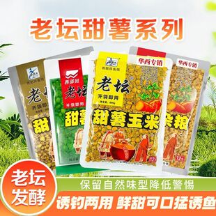 西部风老坛甜薯玉米杂粮老坛玉米红薯野钓鲤鱼发酵玉米草鱼打窝料