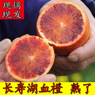 甜手剥皮红心雪脐果冻橙子 长寿湖血橙新鲜水果塔罗科正宗四川应季