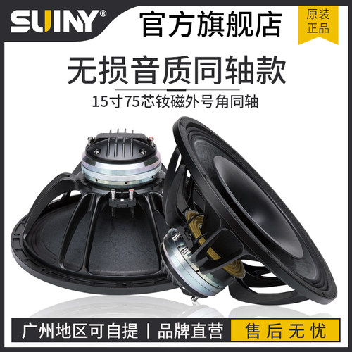 原装进口同轴高低音返听扩声纸盆