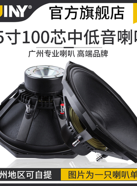 SUINY/蜀音15寸低音喇叭八角PS15钕磁100芯大功率防水远程娱乐箱