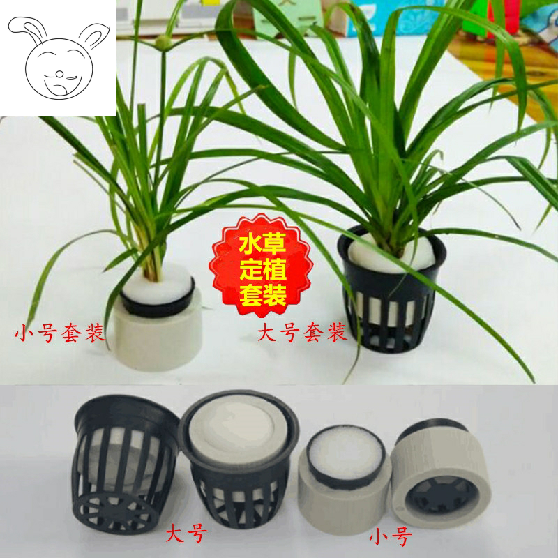 鱼缸水草定植环火山石呼吸环陶瓷环定植水榕莫斯有茎类大坨草植物