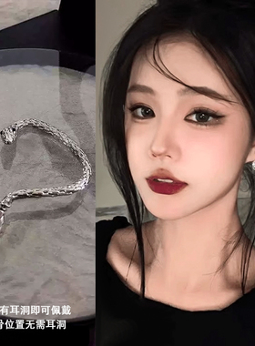 灵蛇缠绕耳挂冷淡风银色耳钉2026新款爆款轻奢高级感气质耳饰女