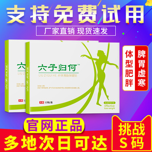 旗舰店 六子归何贴荷官方旗舰店脾胃虚寒六子归何厂家正品