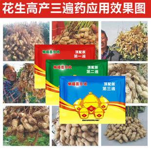芸乐收花生套餐花生三遍药高产套餐控旺抗病防早衰杀菌杀虫促下针