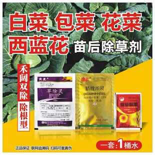 白菜甘蓝花菜西蓝花田除草剂苗后专用精喹禾灵加助剂尖叶圆叶通除