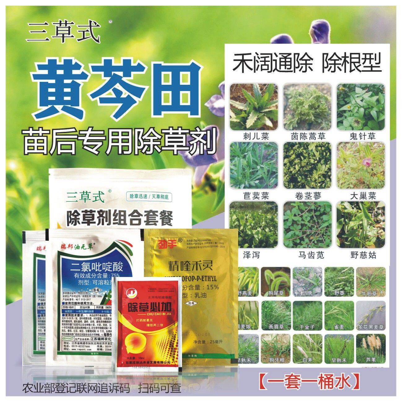 懒福乐黄芩田除草剂苗后专用精喹禾灵加助剂尖叶圆叶通除药材