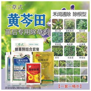 懒福乐黄芩田除草剂苗后专用精喹禾灵加助剂尖叶圆叶通除药材
