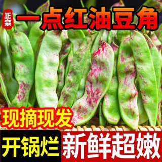 东北油豆角5斤新鲜现摘蔬菜一点红油豆角九月青黑龙江整箱包邮10