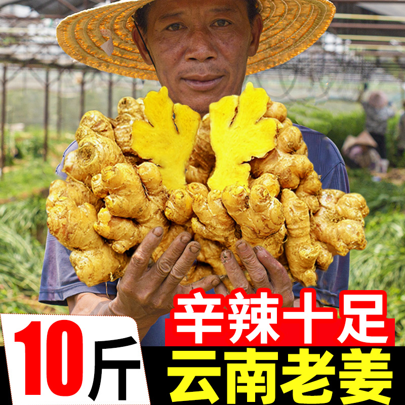云南小黄姜新鲜老姜10斤月子姜沙姜仔姜南姜农家山地现挖干姜生姜