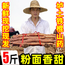 正宗铁棍山药新鲜5斤山药淮山铁杆河北小白嘴麻山药豆蔬菜旗舰店9