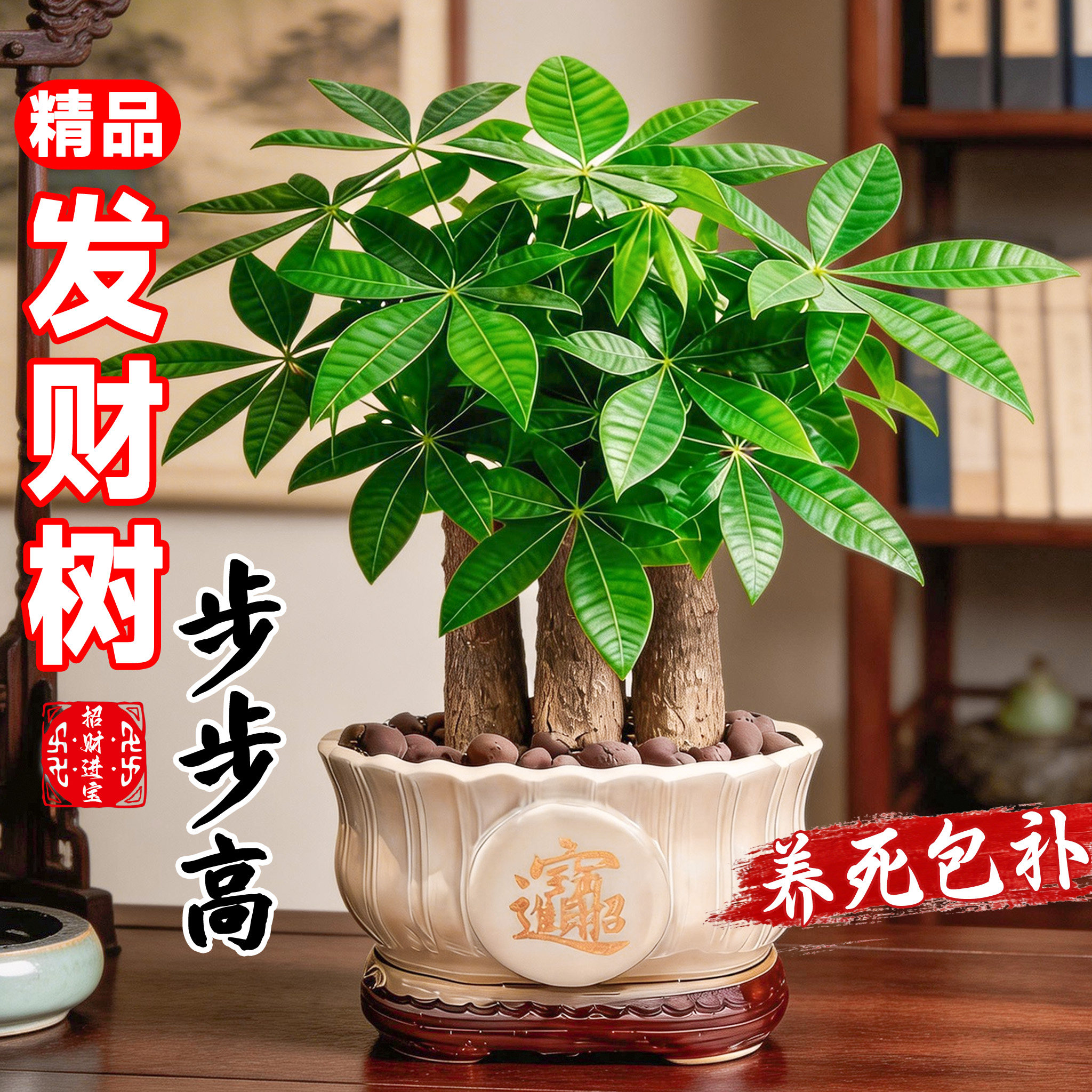 发财树盆栽室内植物招财客厅办公室桌面绿植四季好养活开业送礼新