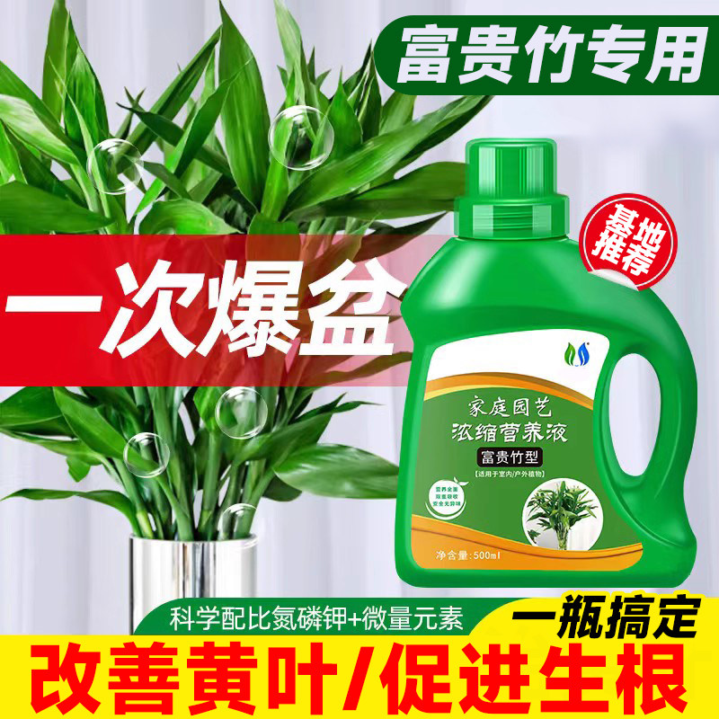 富贵竹营养液水培植物专用肥料转运观音竹子家用黄叶养花通用,鲜花速递/花卉仿真/绿植园艺,家庭园艺肥料,淘宝优惠券,粉丝福利购,淘宝优惠卷