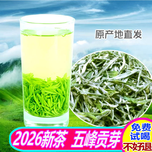 五峰绿茶头采500g特级