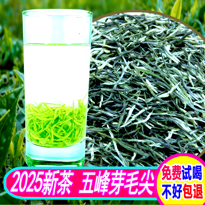 2025新茶特级五峰毛尖栗香500g