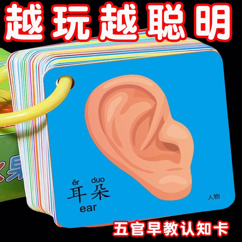 儿童早教卡益智学习卡片