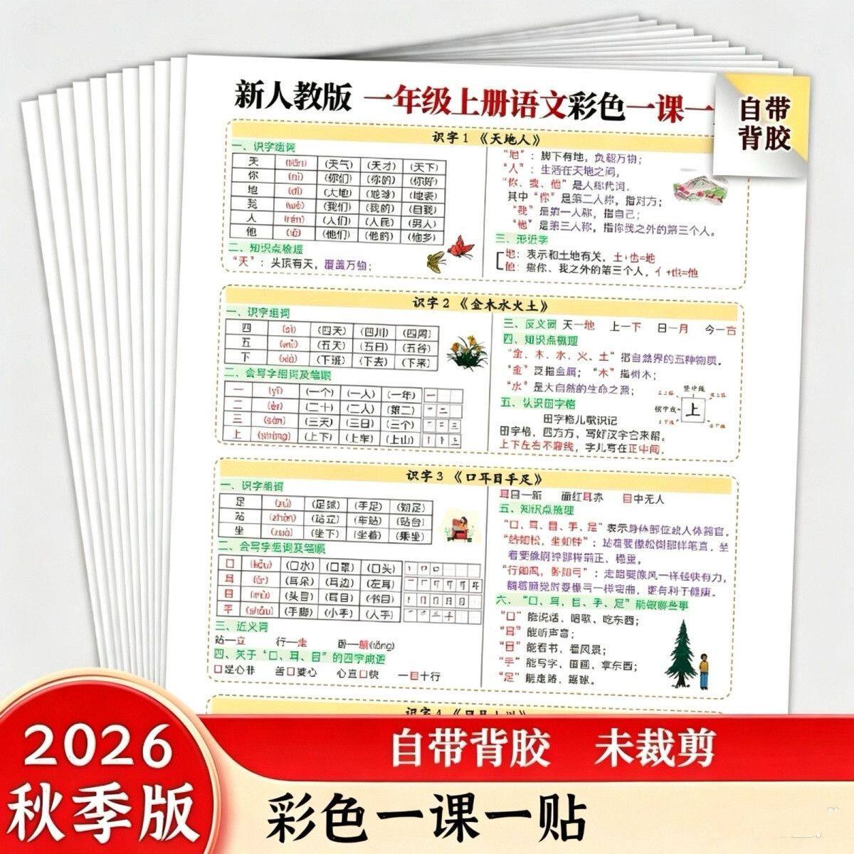2026新一年级上册语文彩