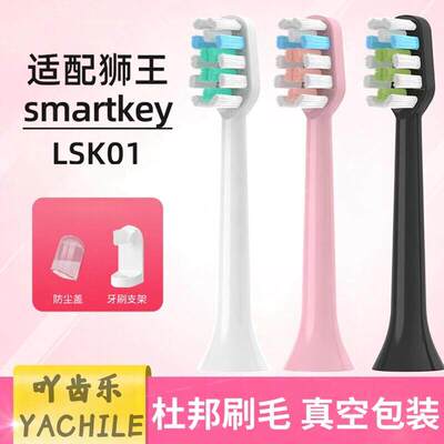 YCL适配Lion狮王磁浮电动