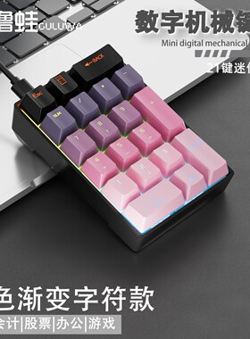 小型键盘收银笔记本键盘外接独立数字财务键盘便携20键机械键盘