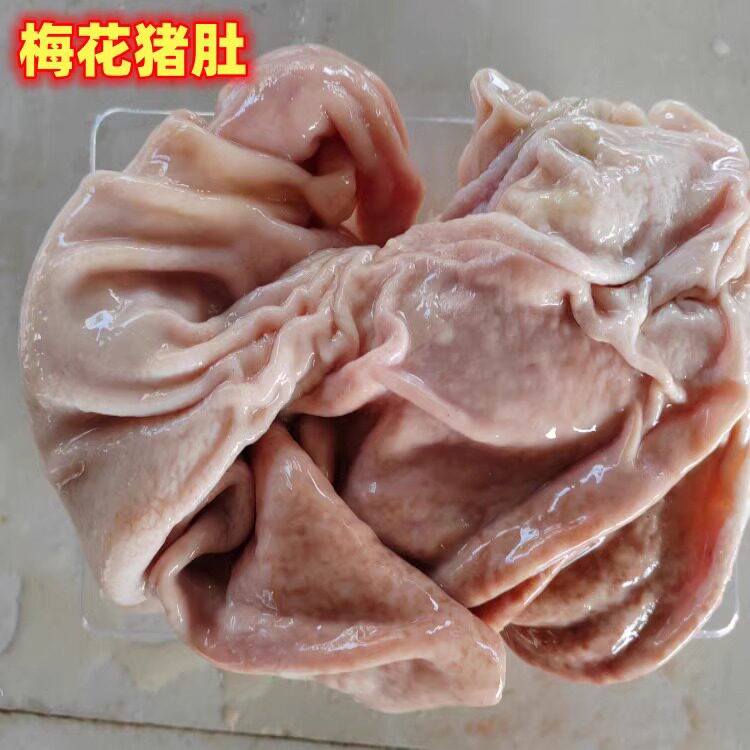 梅花跑山猪新鲜猪肚猪心猪肝现杀