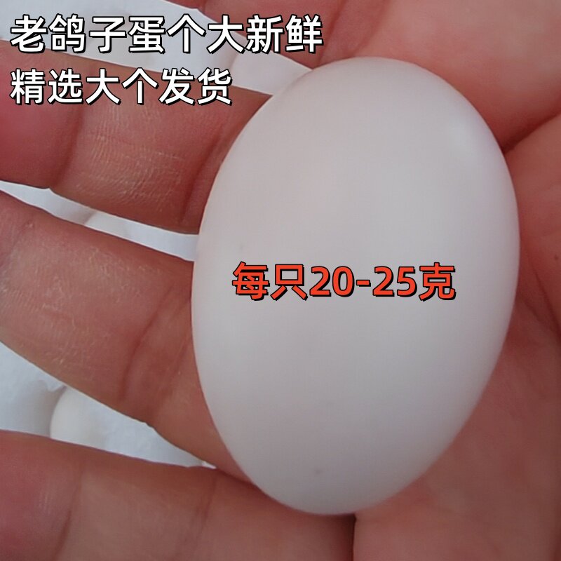 顺丰广东新鲜鸽子蛋农家杂粮高山散养60枚装礼盒精选大个非鹌鹑蛋