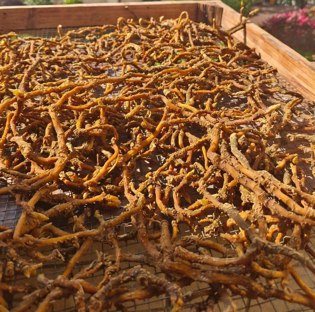 新鲜现挖野生玉竹干晒干货天然无添加原生态煲汤泡茶500克家庭装