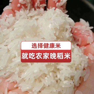 粤北籼米韶关大米优质晚稻今年新米无添加打腊喝山泉水米10斤