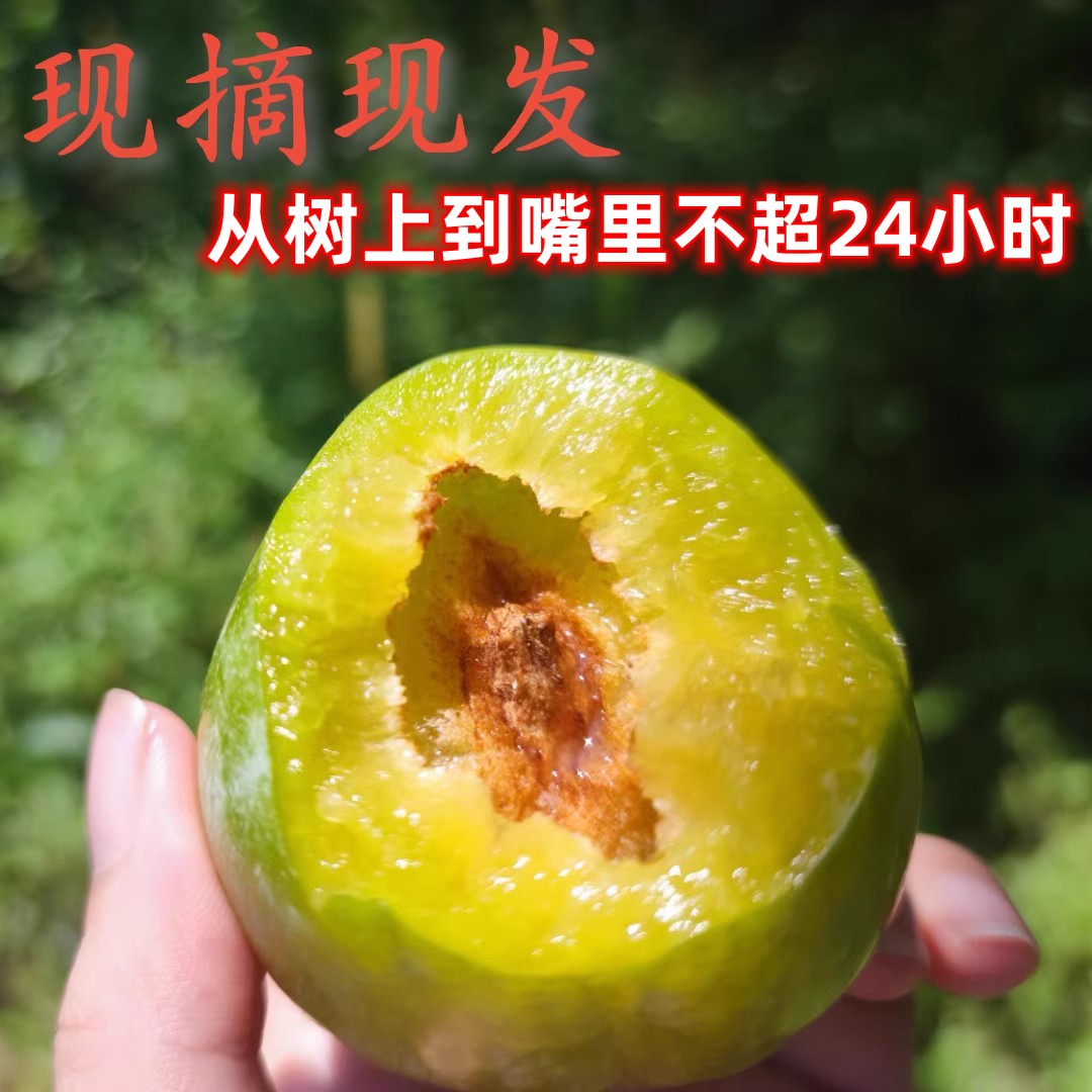 青皮奈李5斤新鲜现摘脆香甜爆汁