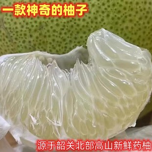 粤北高山药柚子新鲜10斤中华药柚个头小微麻清甜肉脆汁多爽口带籽