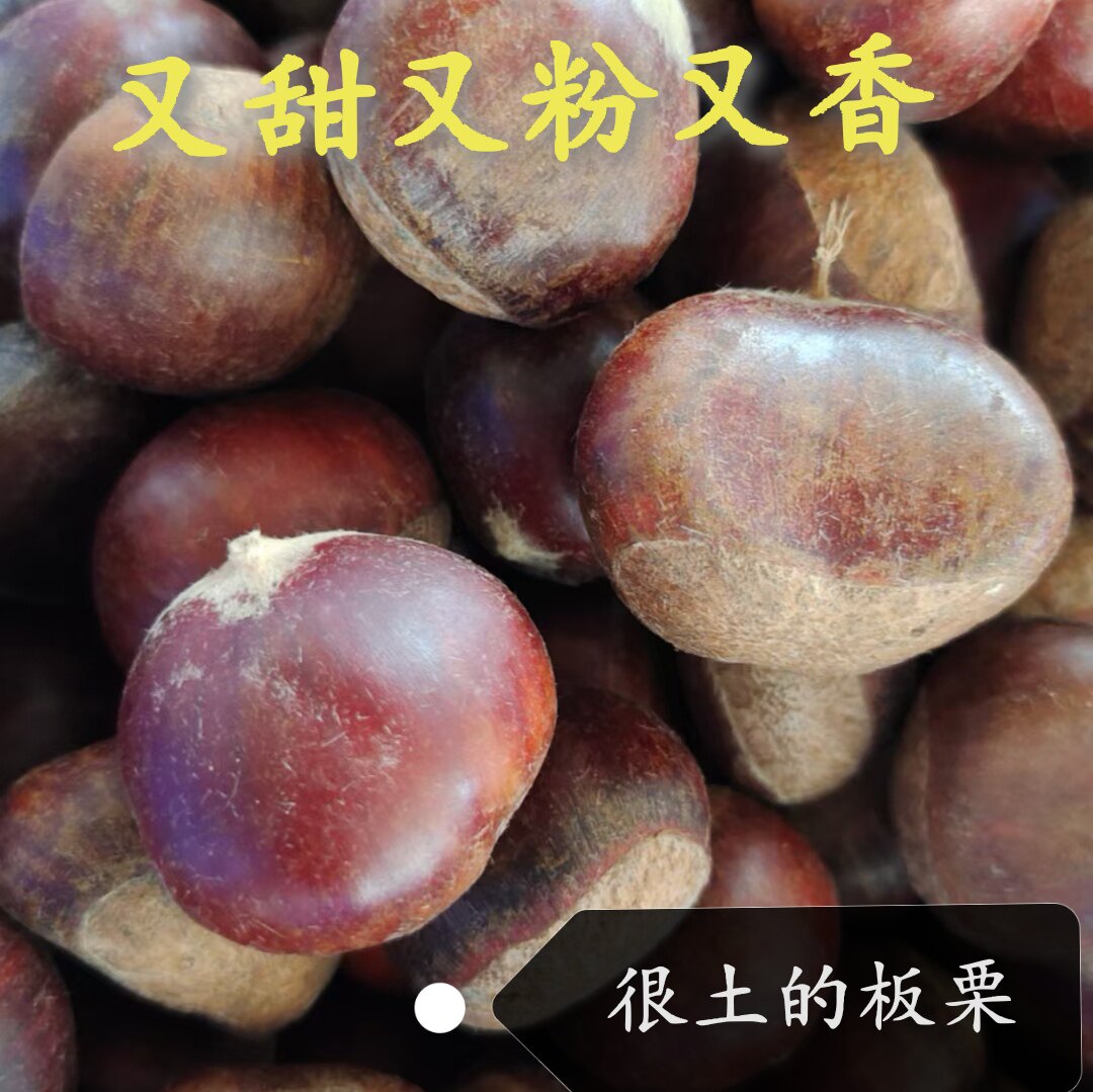 新鲜土板栗现摘现发粉香甜脆