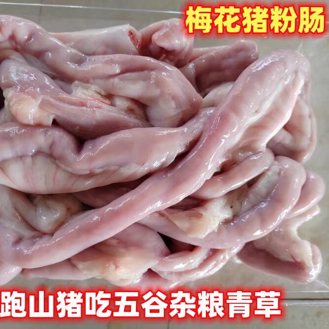 梅花跑山猪新鲜粉肠2斤现杀现发