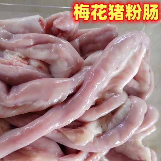 梅花跑山猪新鲜猪大肠粉肠竹现杀