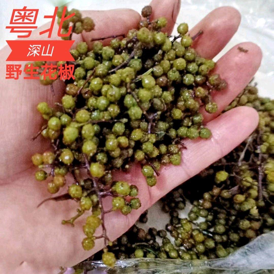 粤北特产韶关高山野生花椒带壳新鲜晒干劲辣花椒泡脚烹饪500g包邮,包装,水果包装,淘宝优惠券,粉丝福利购,淘宝优惠卷