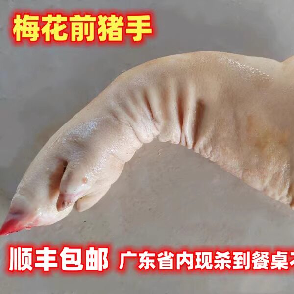 梅花跑山猪新鲜猪手脚猪耳朵猪尾
