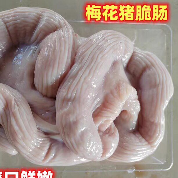 梅花跑山猪新鲜猪大肠现杀发