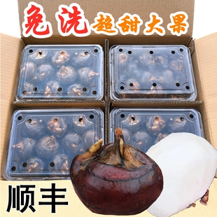 广东水果5斤韶关新鲜脆甜免洗荸荠即食现挖乐昌北乡特大马蹄礼盒