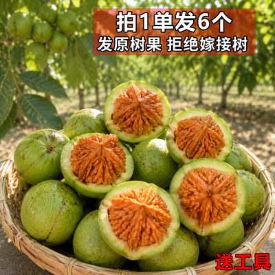 发6个青皮文玩核桃赌青皮可能出三棱狮子头麒麟纹大官帽手里盘的